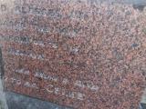 image of grave number 835019